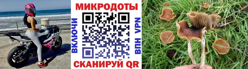 Галлюциногенные грибы GOLDEN TEACHER Каменногорск